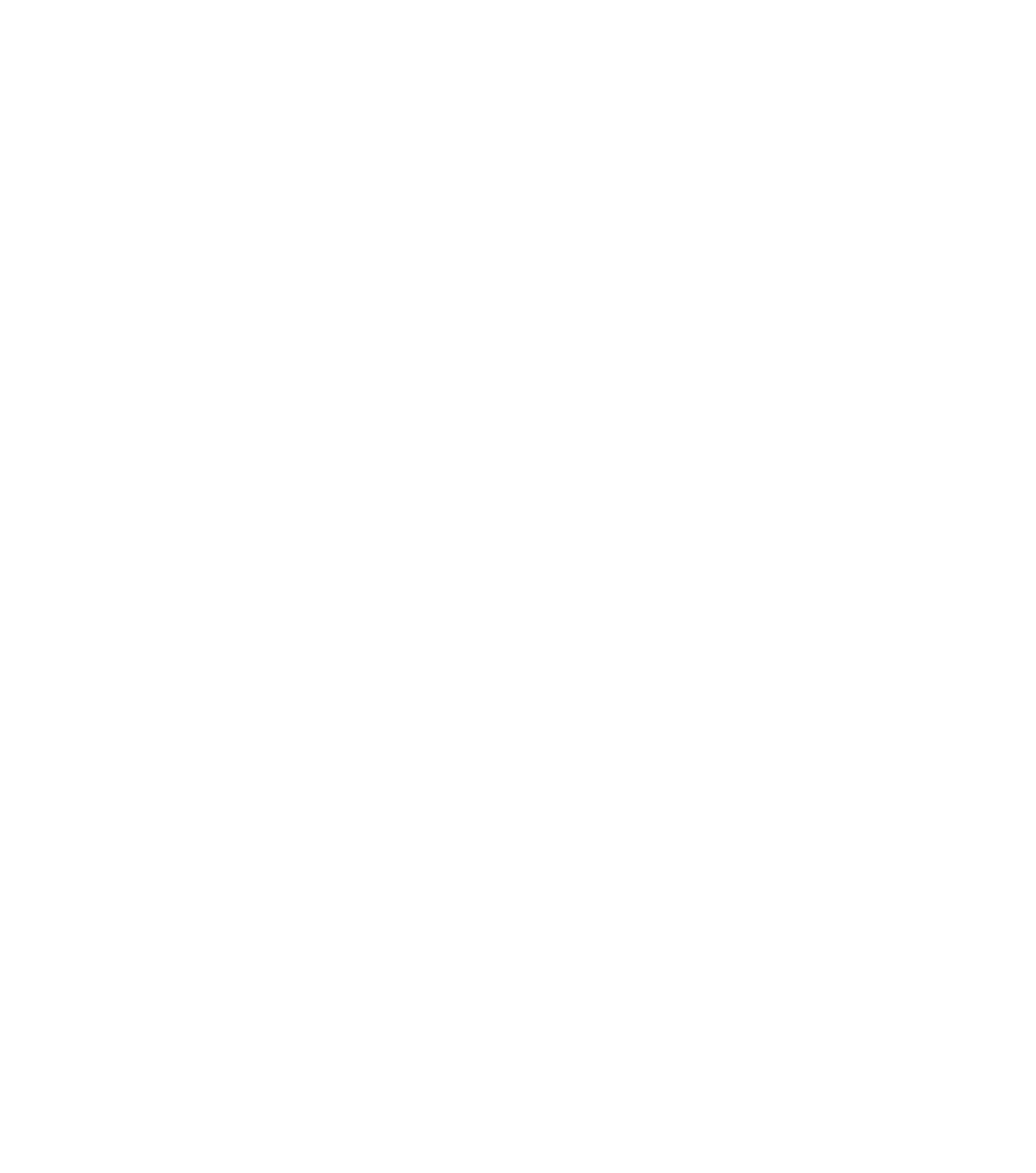 Silent Riot